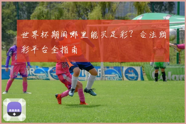 世界杯期间哪里能买足彩？合法购彩平台全指南