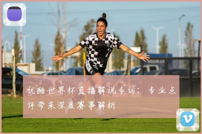 优酷世界杯直播解说专访：专业点评带来深度赛事解析