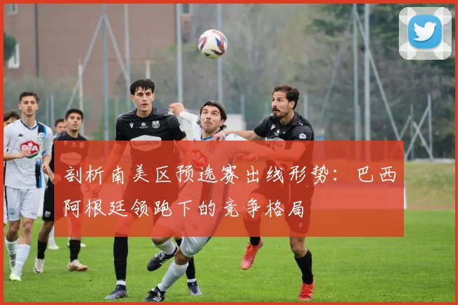 剖析南美区预选赛出线形势：巴西阿根廷领跑下的竞争格局