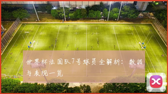 世界杯法国队7号球员全解析：数据与表现一览