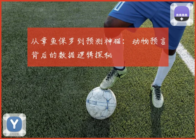 从章鱼保罗到预测神猫:动物预言背后的数据逻辑探秘
