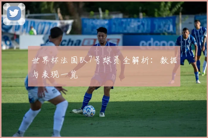 世界杯法国队7号球员全解析：数据与表现一览