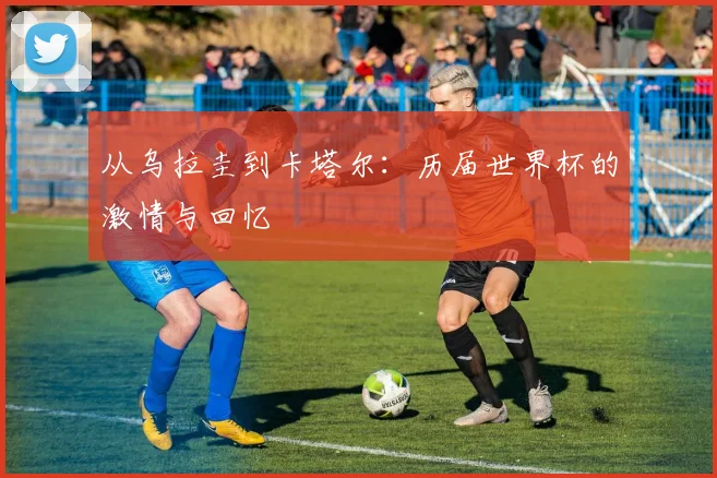 从乌拉圭到卡塔尔：历届世界杯的激情与回忆