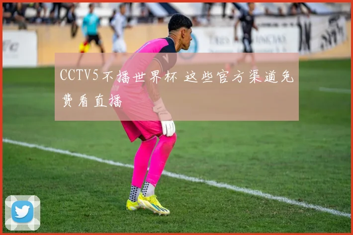 CCTV5不播世界杯 这些官方渠道免费看直播