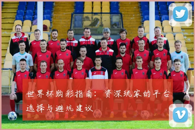 世界杯购彩指南：资深玩家的平台选择与避坑建议